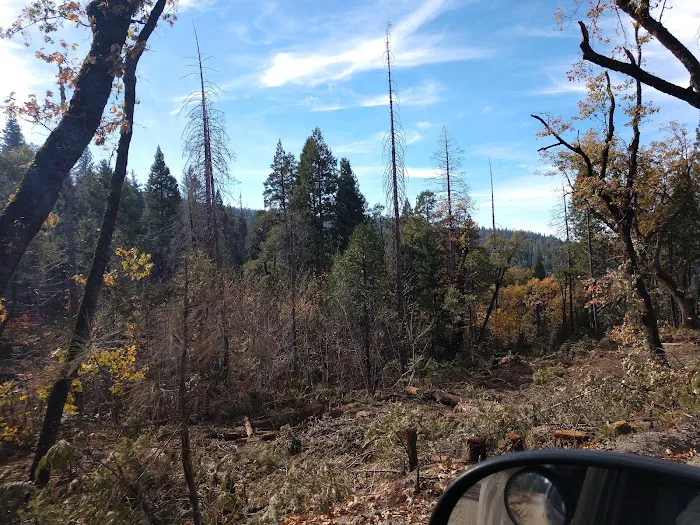 Sand Bar Flat Campground Picture 3