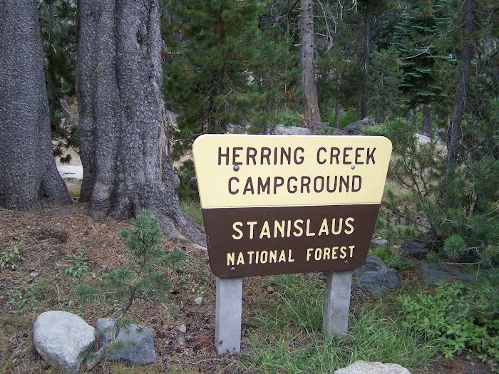 Herring Creek Campground Picture 10