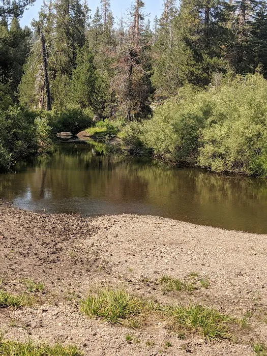Herring Creek Campground Picture 9