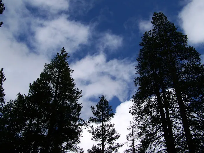 Herring Creek Campground Picture 2