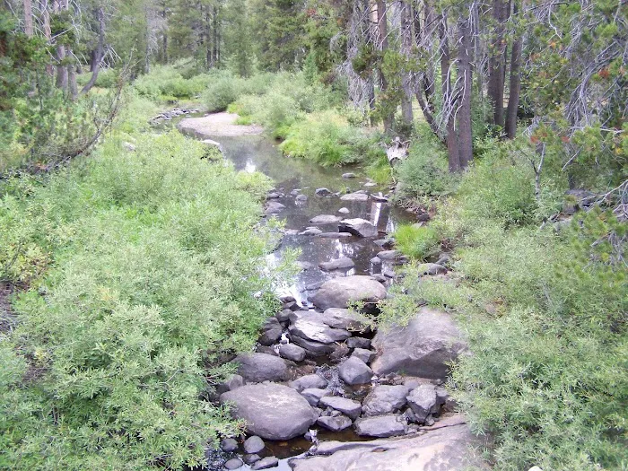 Herring Creek Campground Picture 5