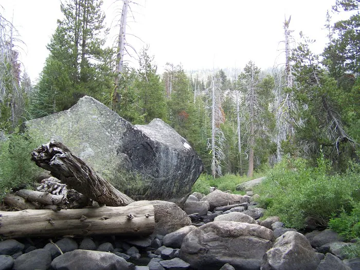 Herring Creek Campground Picture 7