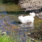 Herring Creek Campground