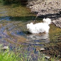 Herring Creek Campground ico