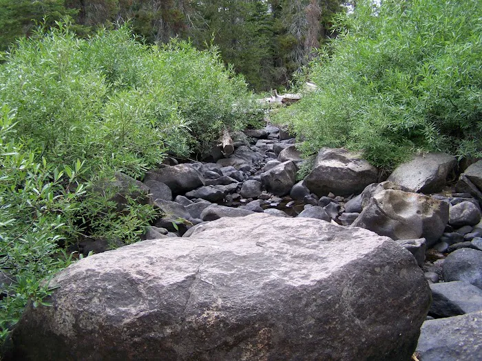 Herring Creek Campground Picture 6