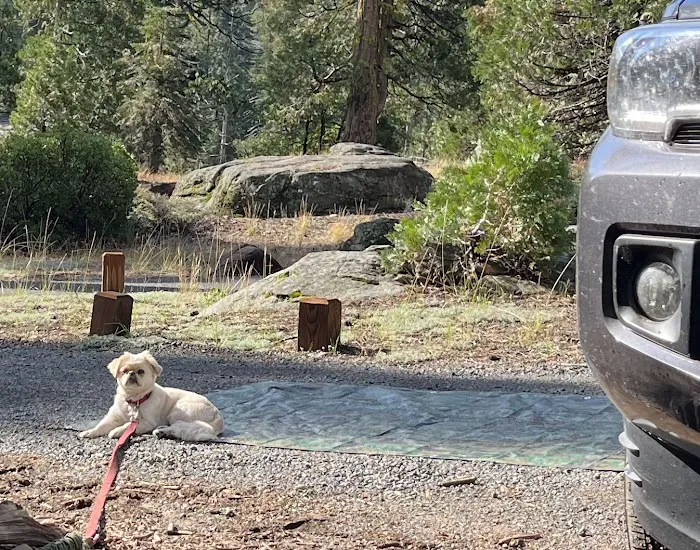 Cascade Campground Picture 10