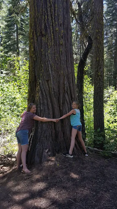 Cascade Campground Picture 5