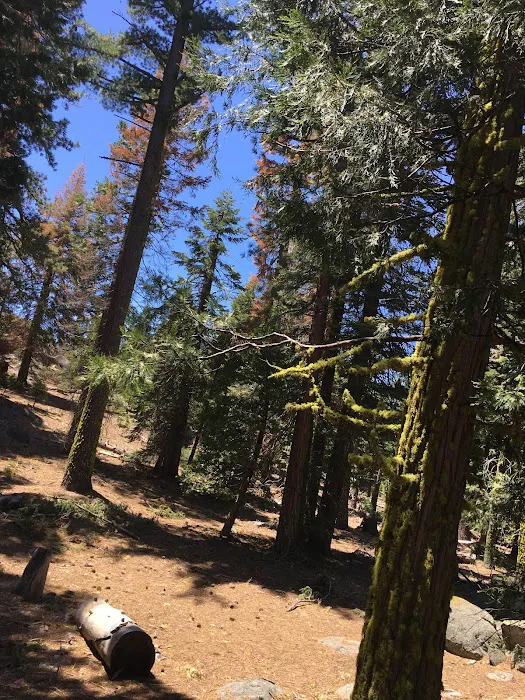 Cascade Campground Picture 7