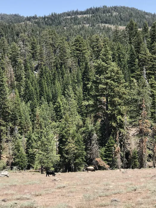 Mill Creek Campground Picture 7