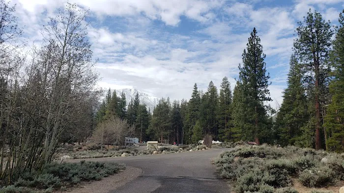 Robinson Creek South Campground Picture 4
