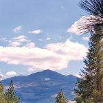 Robinson Creek South Campground