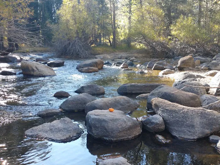 Robinson Creek North Campground Picture 2