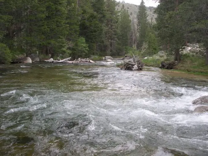 Robinson Creek North Campground Picture 4