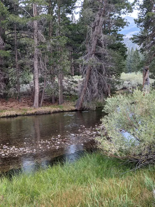 Robinson Creek North Campground Picture 6