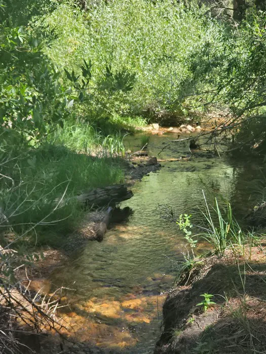 Honeymoon Flat Lower Campground Picture 3