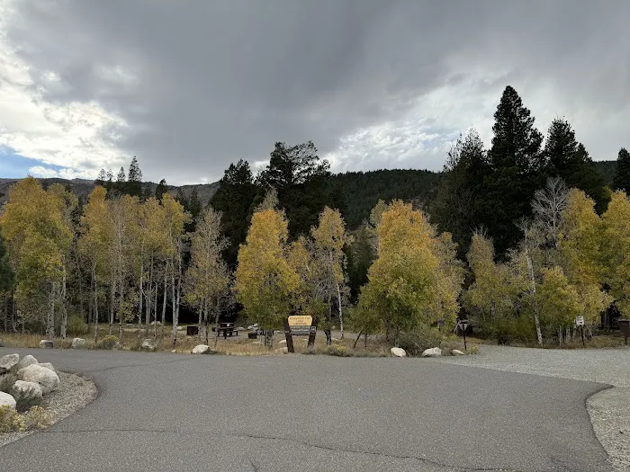 Honeymoon Flat Lower Campground Picture 5