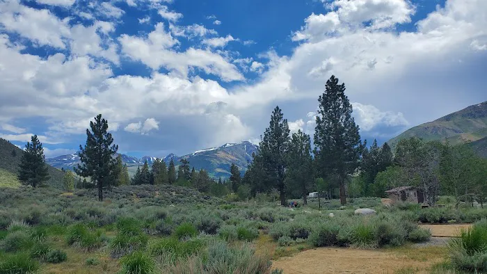 Honeymoon Flat Lower Campground Picture 4