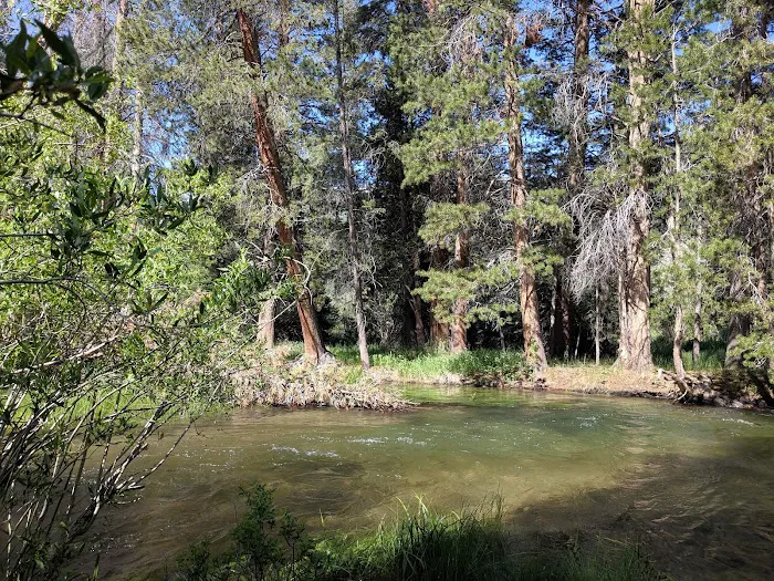 Honeymoon Flat Lower Campground Picture 2
