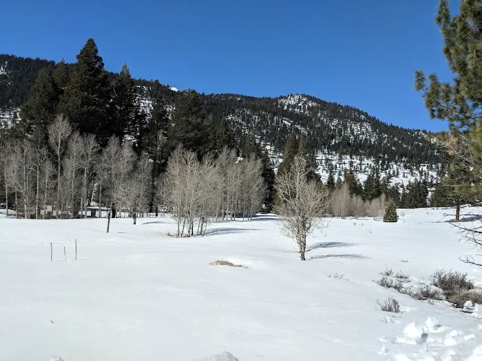 Honeymoon Flat Lower Campground Picture 10