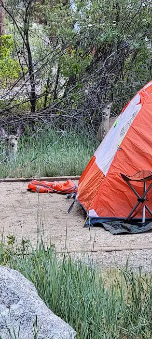 Honeymoon Flat Lower Campground Picture 1