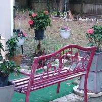 Oak Tree Village Apartments & Campground ico
