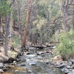 Buckeye Campground