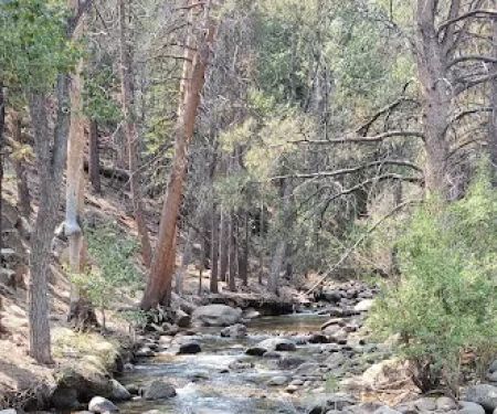 Buckeye Campground