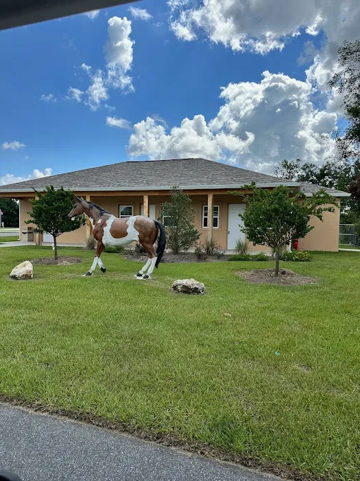 Southern Springs RV Resort Picture 6