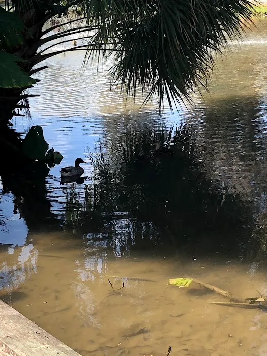 Ocala RV Camp Resort Picture 1