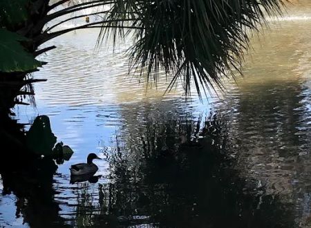 Ocala RV Camp Resort