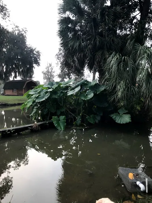 Ocala RV Camp Resort Picture 3