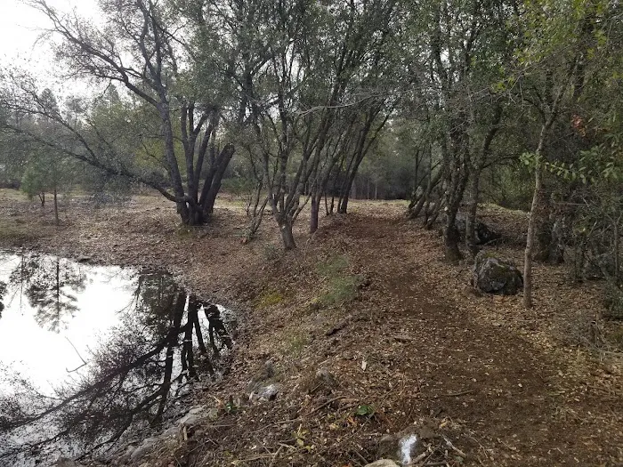 Squirrel Rock RV Campground Picture 8