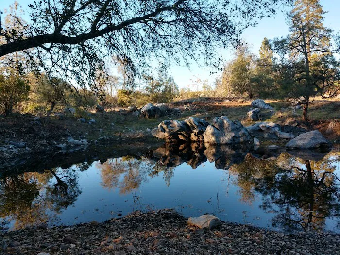 Squirrel Rock RV Campground Picture 4