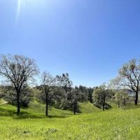 Tuttletown Recreation Area ico