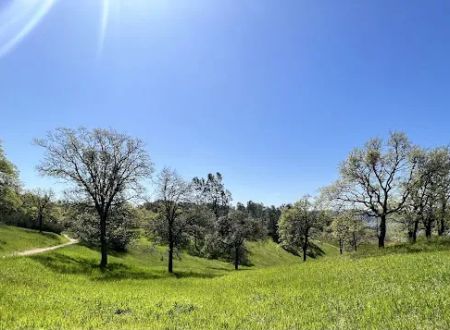 Tuttletown Recreation Area