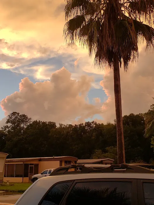 Lindale Mobile Home Park Picture 8