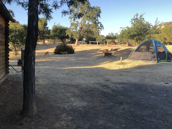 Lake Tulloch RV Campground & Marina Picture 4