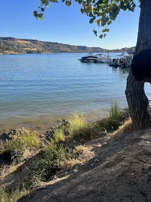 Lake Tulloch RV Campground & Marina Picture 6
