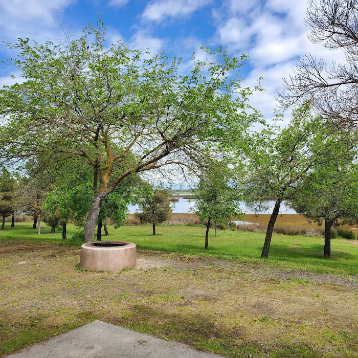 Blonde Island Campground Picture 8