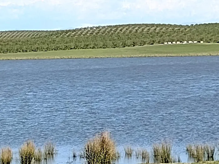 Water Sid Campground Picture 5