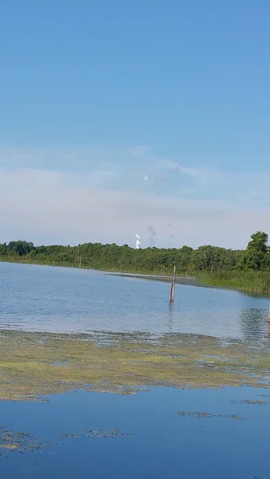 Cannon Oaks Mobile & RV Park Picture 5