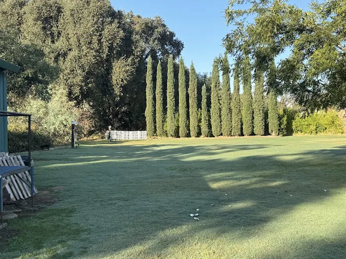 Cole Ranch Picture 8