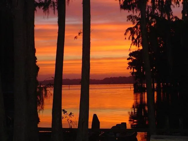 Lake Rousseau RV Resort Picture 6