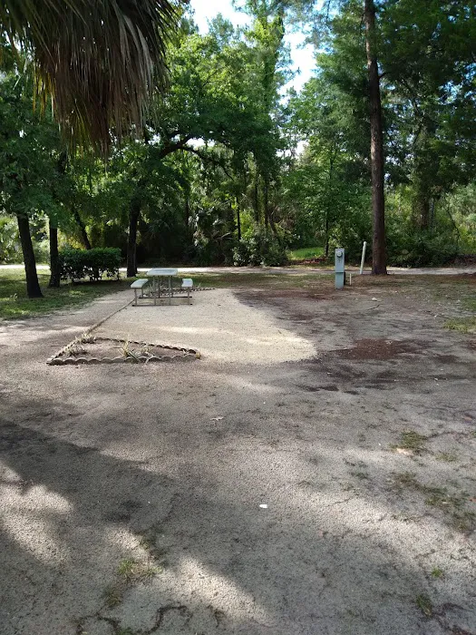 Village Pines RV Campground & Mobile Home Community Picture 9