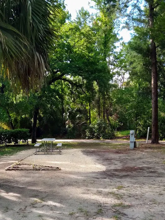 Village Pines RV Campground & Mobile Home Community Picture 4