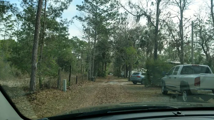 Village Pines RV Campground & Mobile Home Community Picture 5