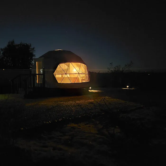 The Kosmic Tortoise Picture 6
