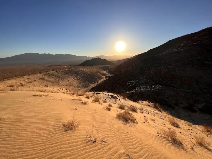 Wonder Valley USA Picture 7