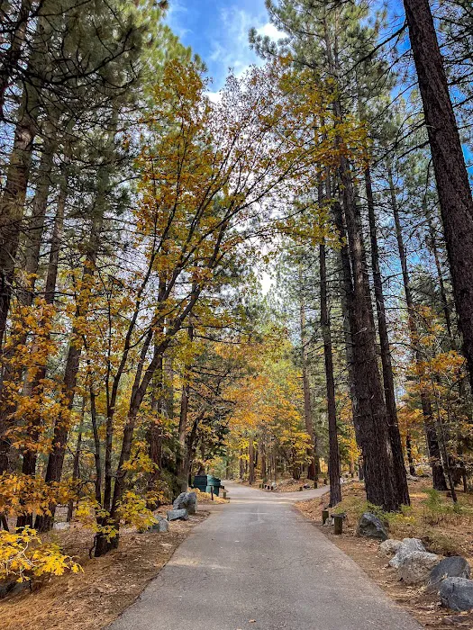 Pineknot Campground Picture 8