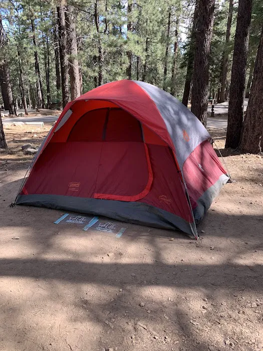 Pineknot Campground Picture 9